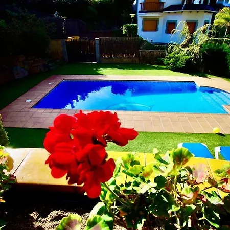 V&v Lloret- Aurora リョレート・デ・マル